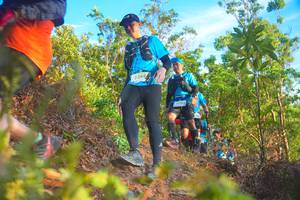 BIB: 2268, 
                            <button type="button" onclick="openModal(21837816)" class="btn btn-primary btn-sm float-right btn-popup" data-toggle="modal" data-target=".modal-high-quality">
                        <i class="fas fa-shopping-cart"></i> Add to Cart
                    </button>
                                            <button type="button" onclick="isThisMe(21837816, true)" class="btn btn-success btn-sm float-right btn-popup btn-isme hidden" data-toggle="tooltip" data-placement="bottom" title="นี่คือรูปของคุณใช่ไหม คลิกที่นี่เพื่อเอาเข้าอัลบั้ม">
                        <i class="fas fa-plus"></i> Add to album
                    </button>
                    <button type="button" onclick="isThisMe(21837816, false)" class="btn btn-warning btn-sm float-right btn-popup btn-isnotme hidden">
                        <i class="fas fa-ban"></i> Remove from album
                    </button>